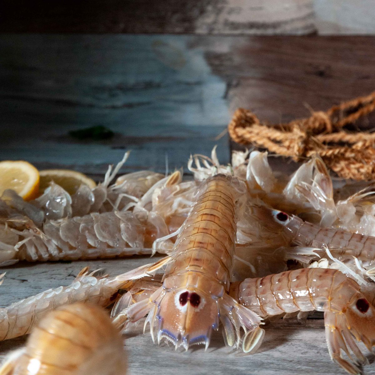 Canocchie piccole (300 gr circa 10 canocchie) pannocchia