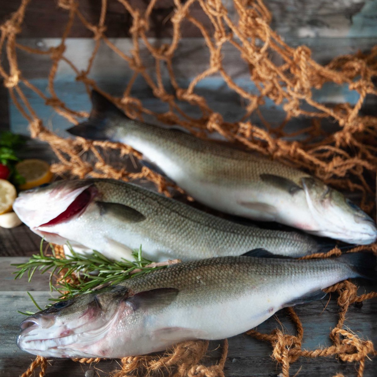 Branzini freschi Pescati (1 pesce circa 500gr) Spigola