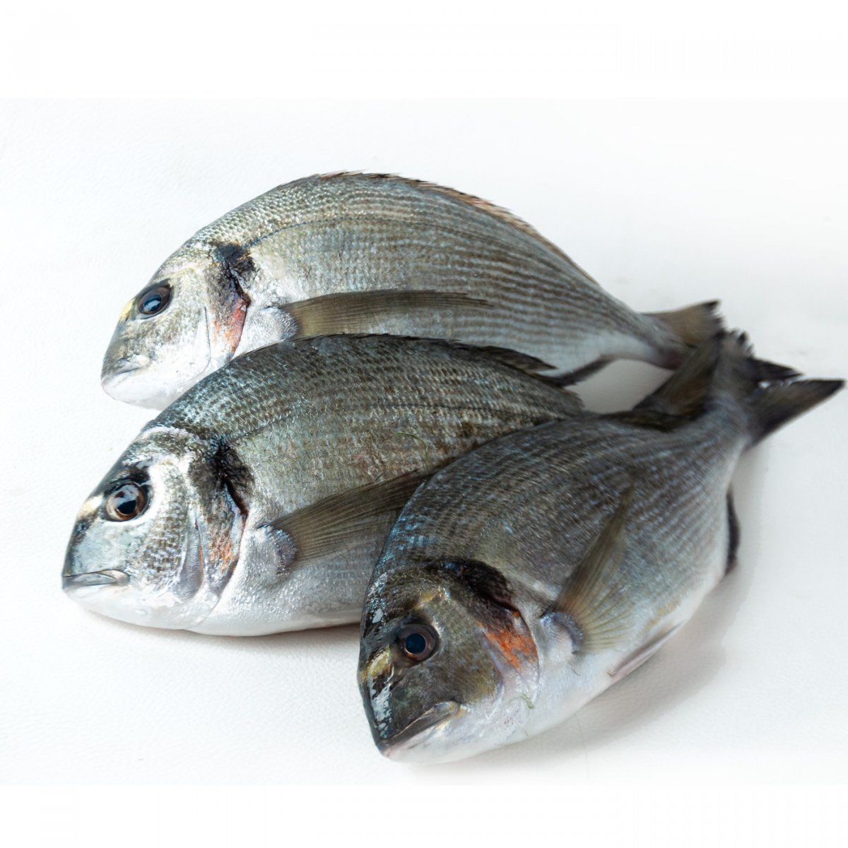 Orate Pescate