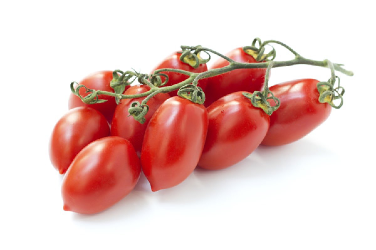 POMODORI PICCADILLY