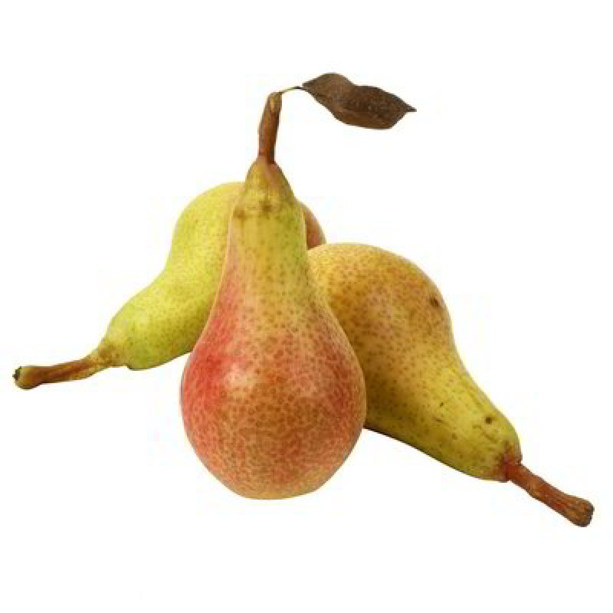 PERE CARMEN