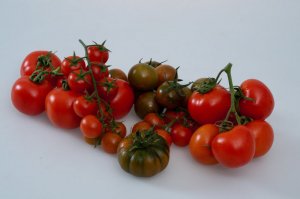Pomodori Ciliegino