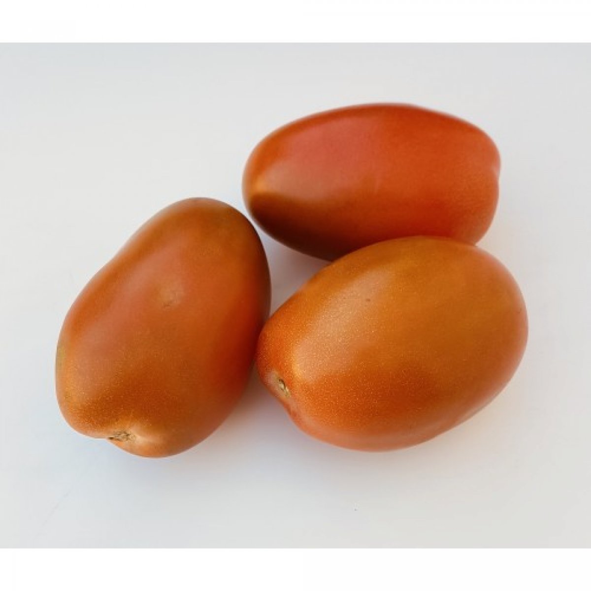 POMODORI OVETTO