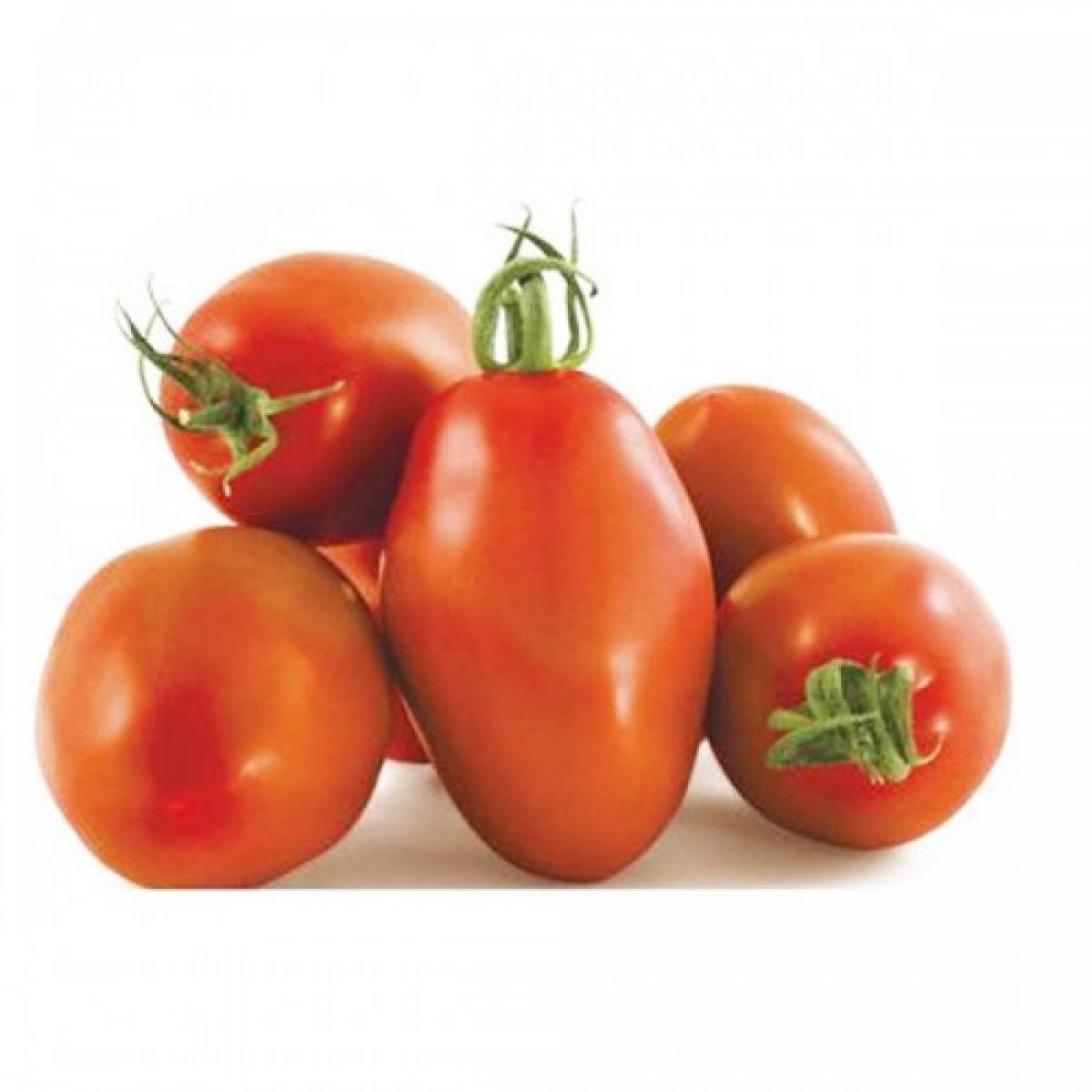 POMODORO SAMMARZANO