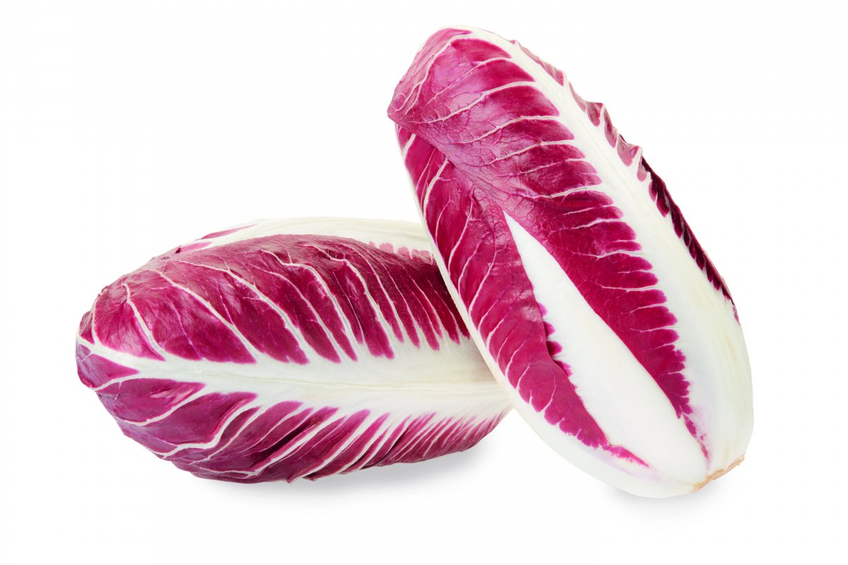 RADICCHIO TREVISO