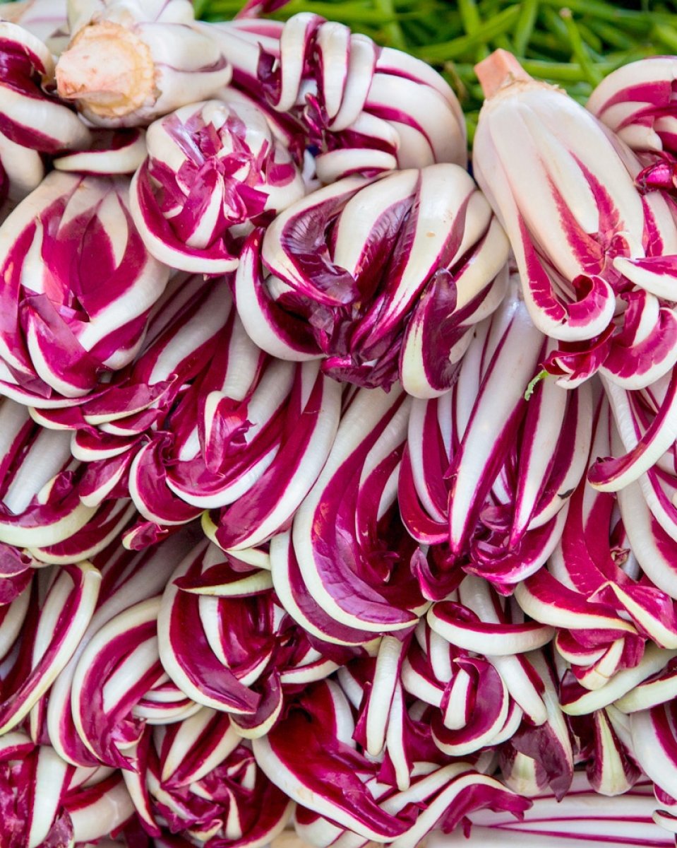 Radicchio Trevigiano Originale