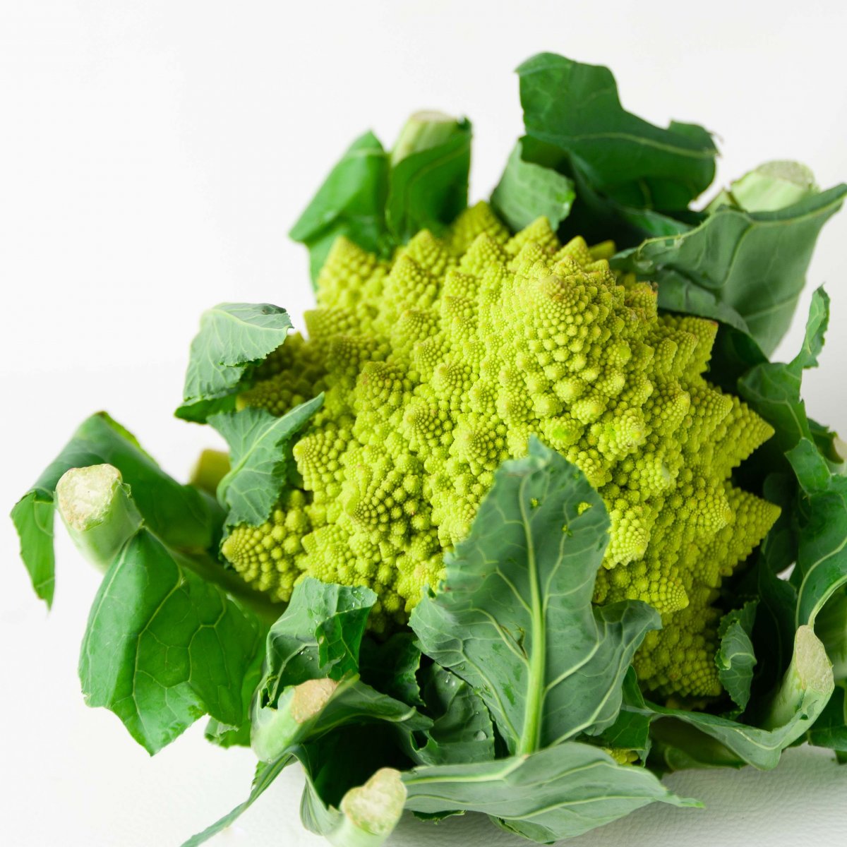 Cavolo romanesco 