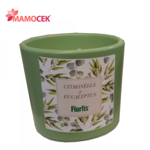 FLORTIS Natural green bicchiere terracotta candela citronella eucalipto VERDE