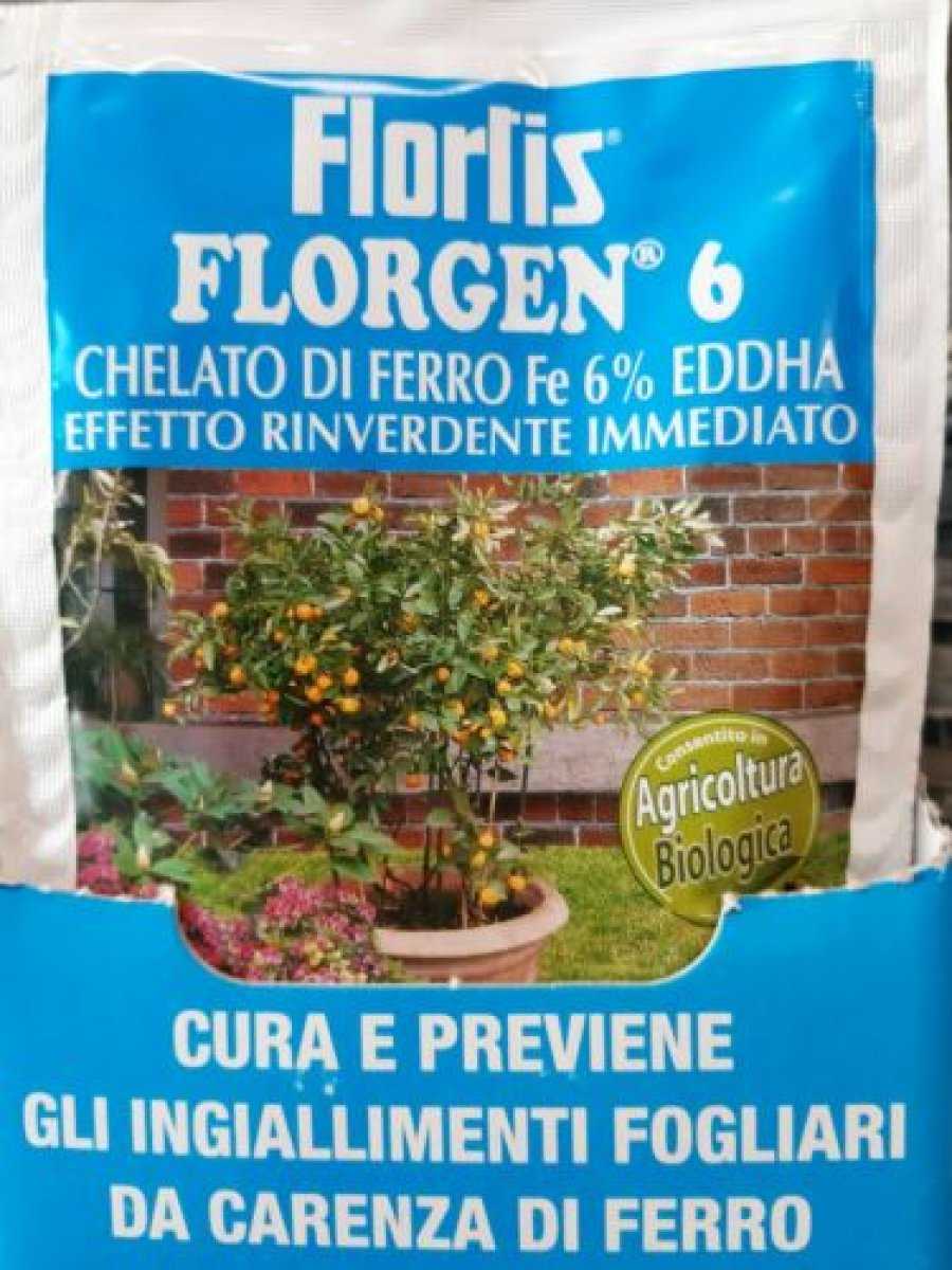 FLORTIS Florgen 6 Chelato di ferro al 6% EDDHA rinverdente stimolante sequestrene piante conf. 50 gr