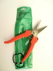 FORBICI Cesoie da giardino punta dritta in acciaio inox da com 19. Potare orto, fiori, giardino, hobby.