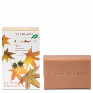 Ambraliquida Sapone