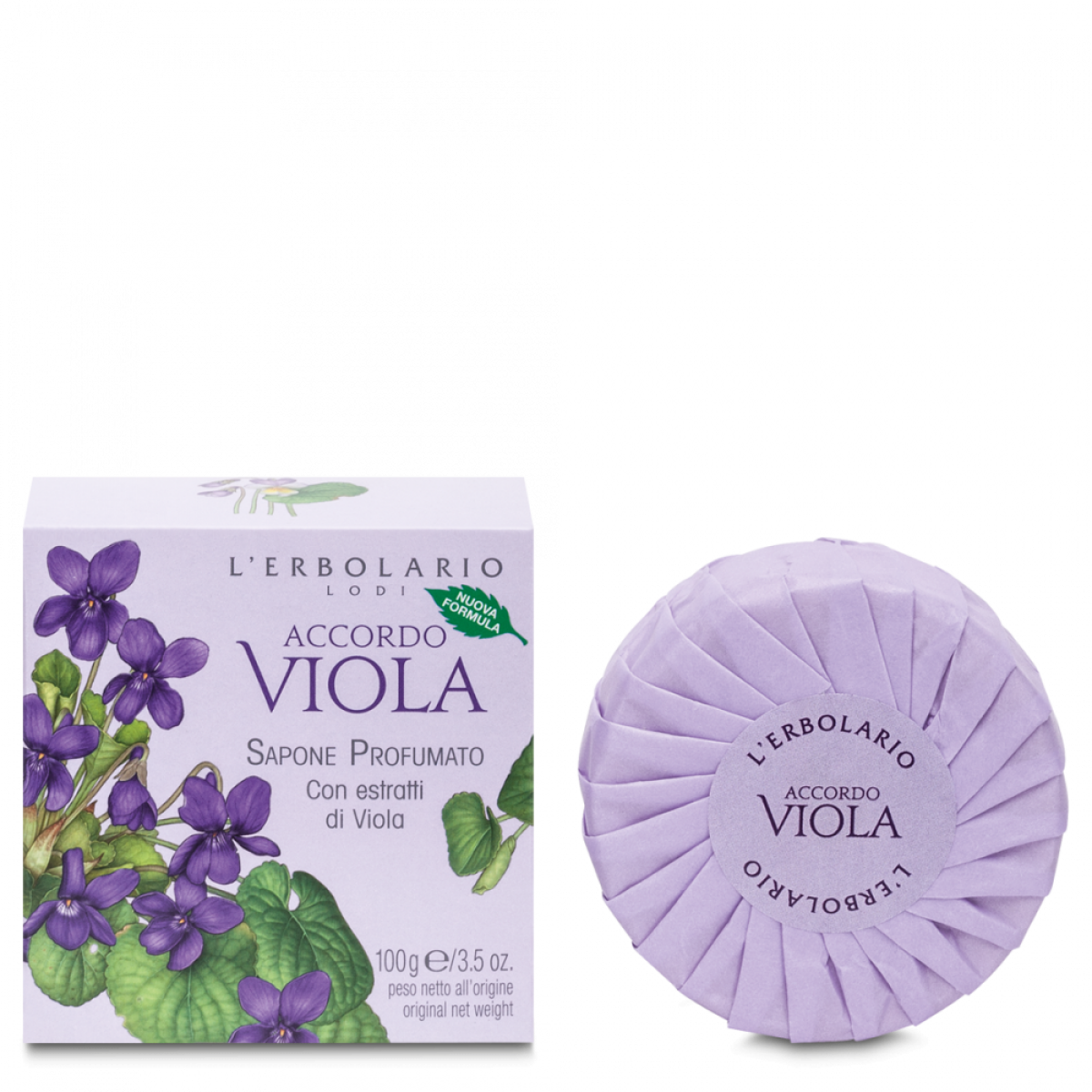 Accordo Viola Sapone