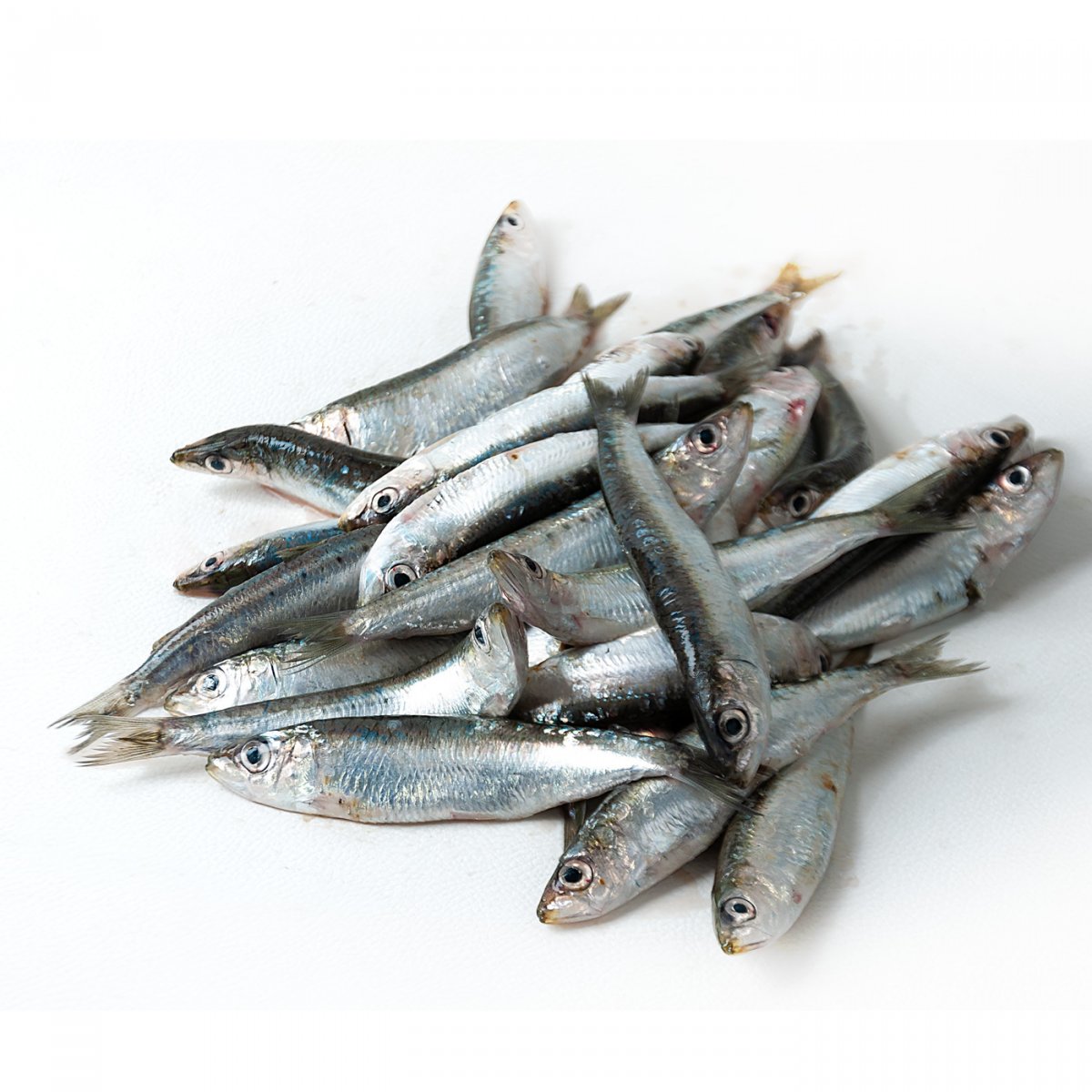 Sardine fresche nostrane 