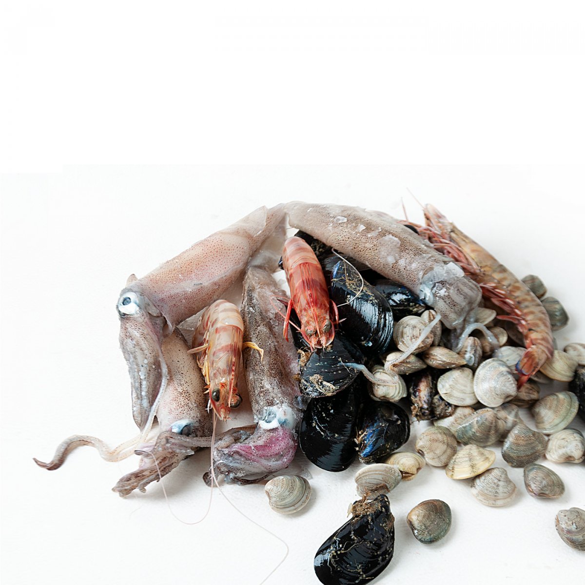 Misto per scoglio (0,5 kg per una persona) con vongole, cozze, calamari e mazzancolle sugo di pesce