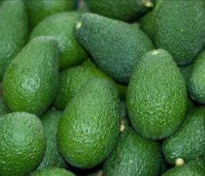 AVOCADO