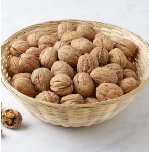 NOCI  ITALIANE