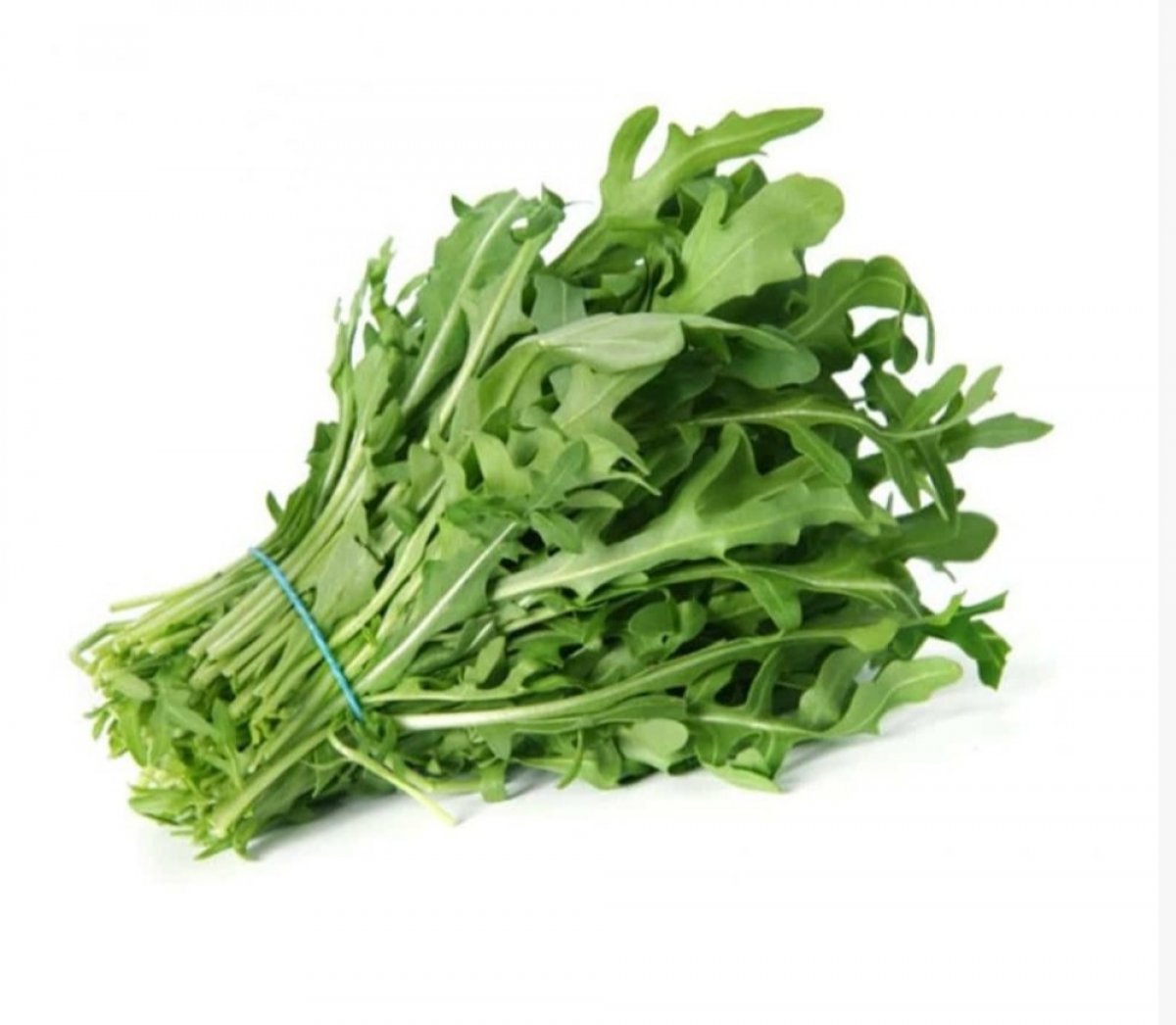 RUCOLA FRESCA