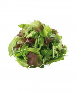 MISTICANZA FRESCA PRODUZIONE PROPRIA