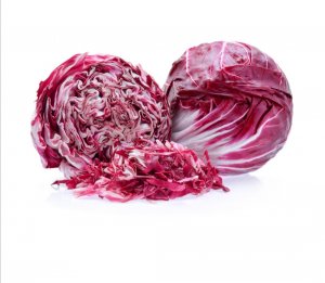 RADICCHIO TONDO
