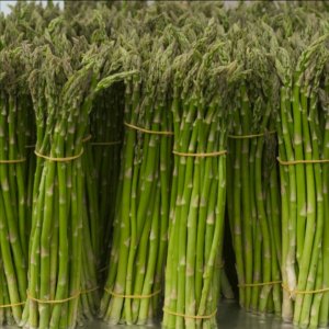 ASPARAGINA