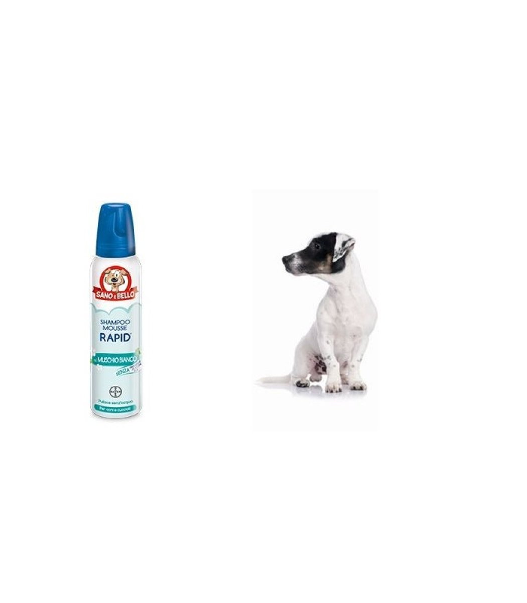 BAYER SHAMPOO MOUSSE RAPID MUSCHIO BIANCO 300ML