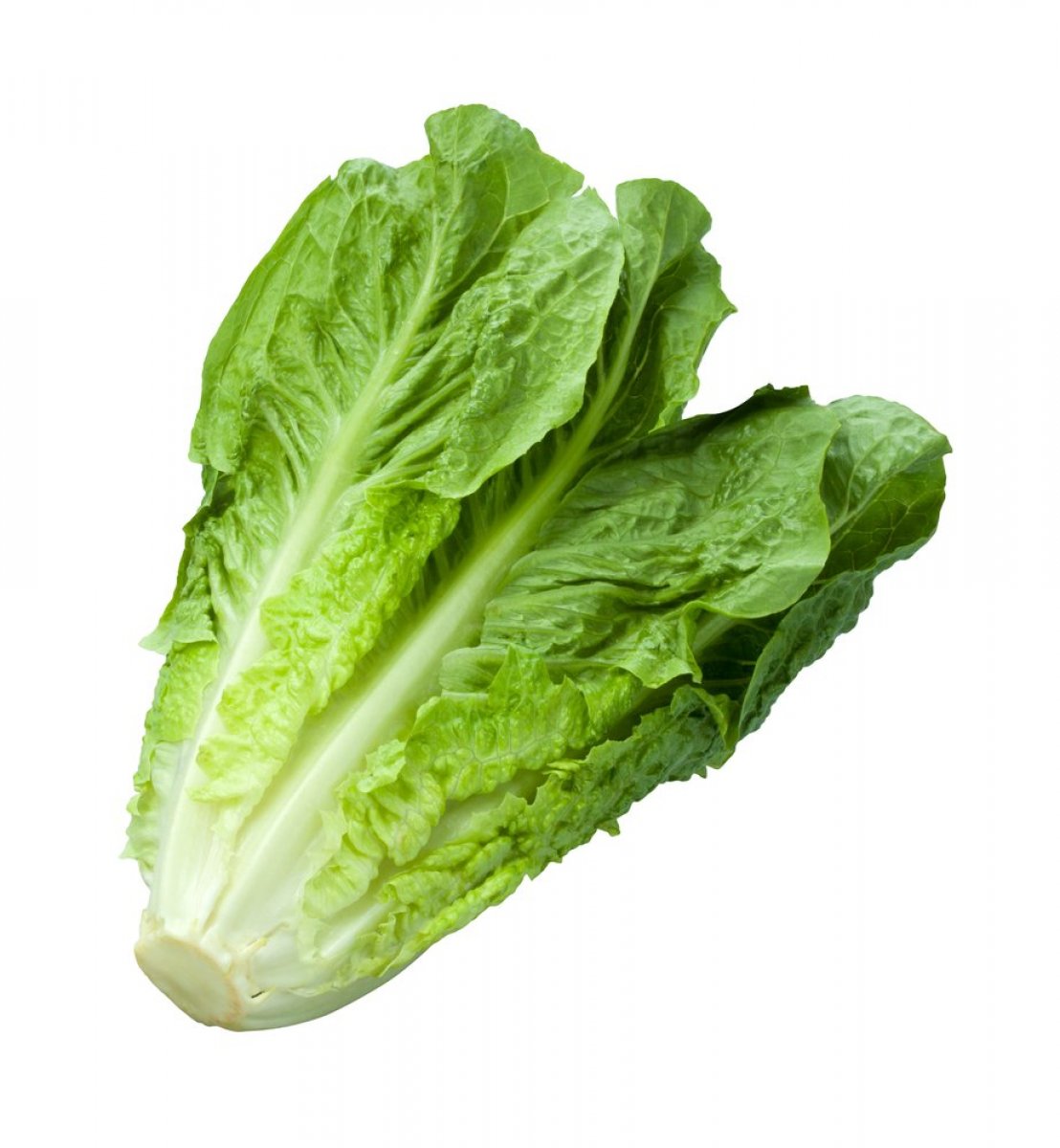 INSALATA ROMANA