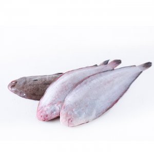 Sogliole fresche piccole