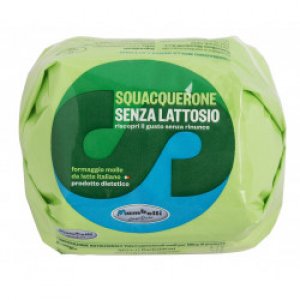 Squacquerone senza lattosio g.250