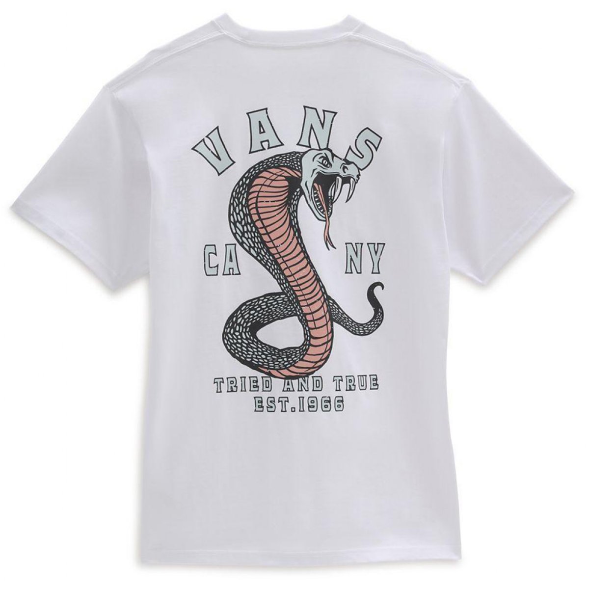 VANS t-shirt STRIKED WHITE VANS
