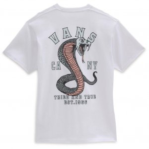 VANS t-shirt STRIKED WHITE