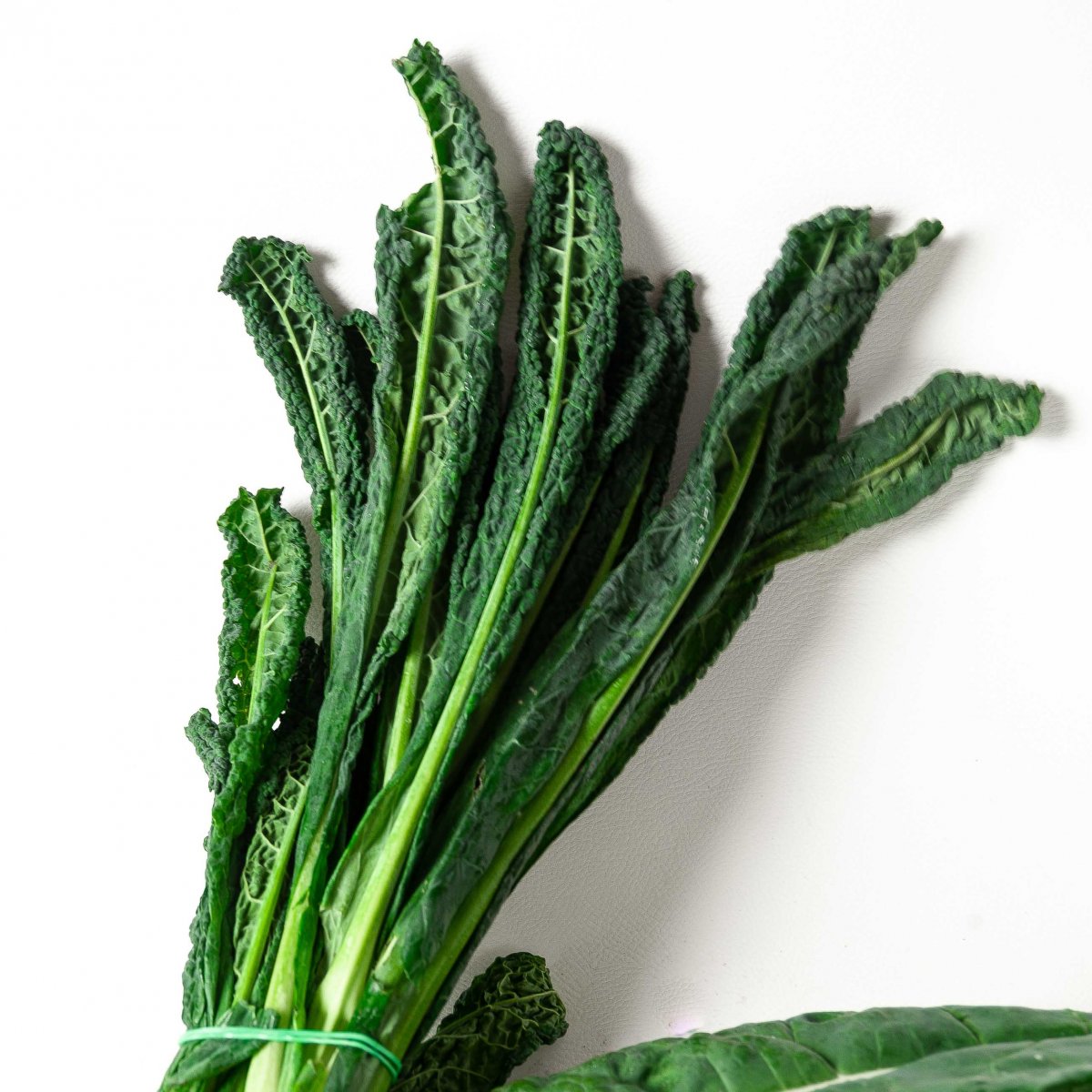 CAVOLO NERO