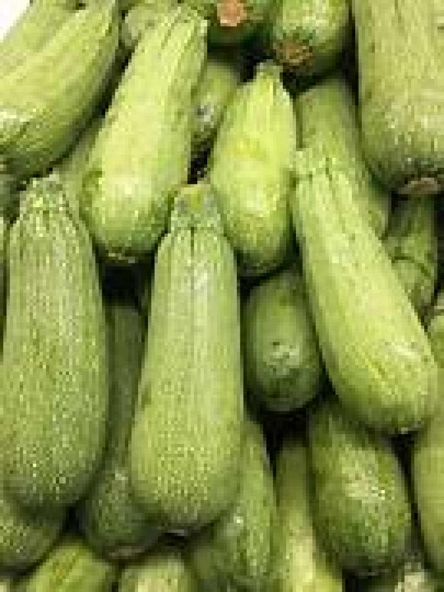 Zucchine chiare